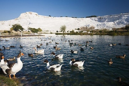 Pamukkale and Hierapolis Daily Tour From Antalya