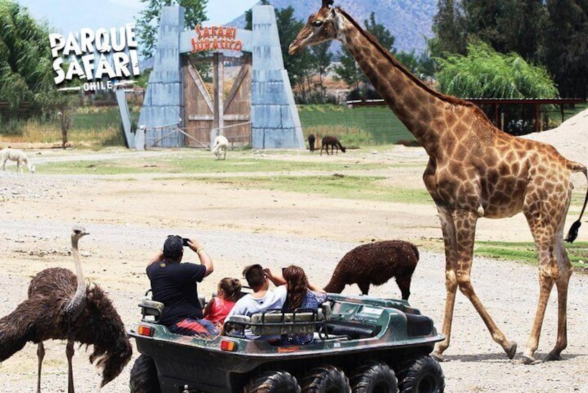 Safari Park Full Day from Santiago