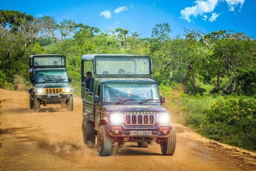 Jeep Safari at Yala National Park, Srilanka.