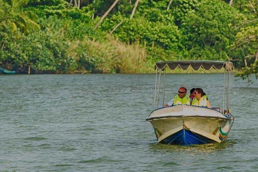 madu river bote safari