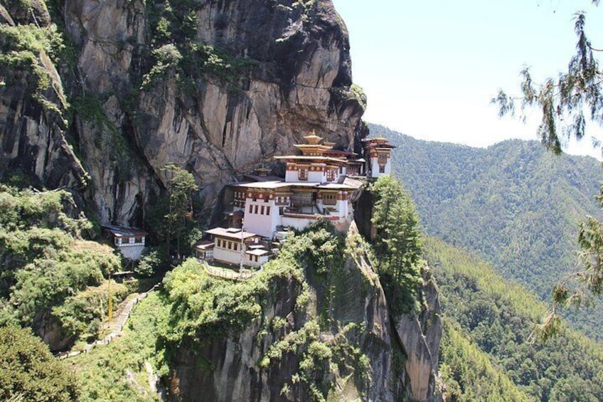 Wonders of Bhutan With 3 Days Gangtey Nature Trek