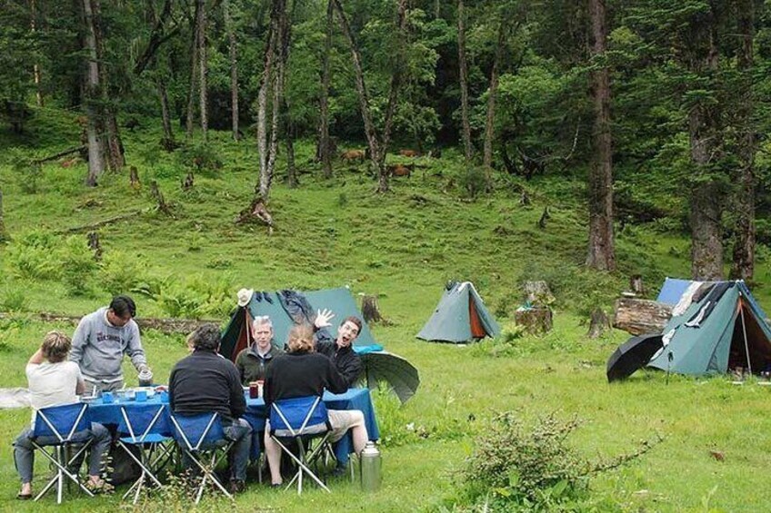 Hikers enjoying meals at their campsite