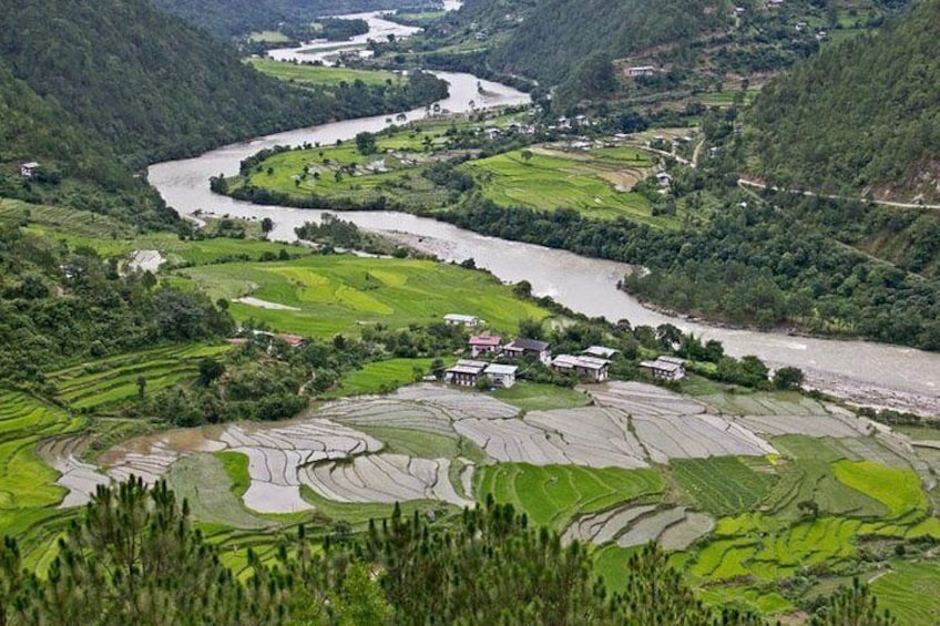 The valley of Punakha in July