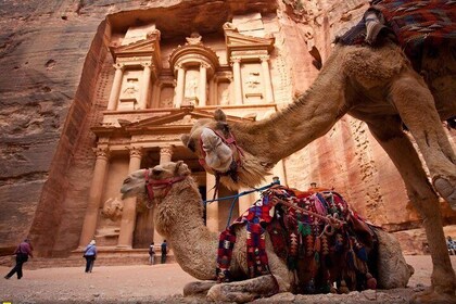 02 Days Petra , Wadi Rum and Dead Sea from Amman