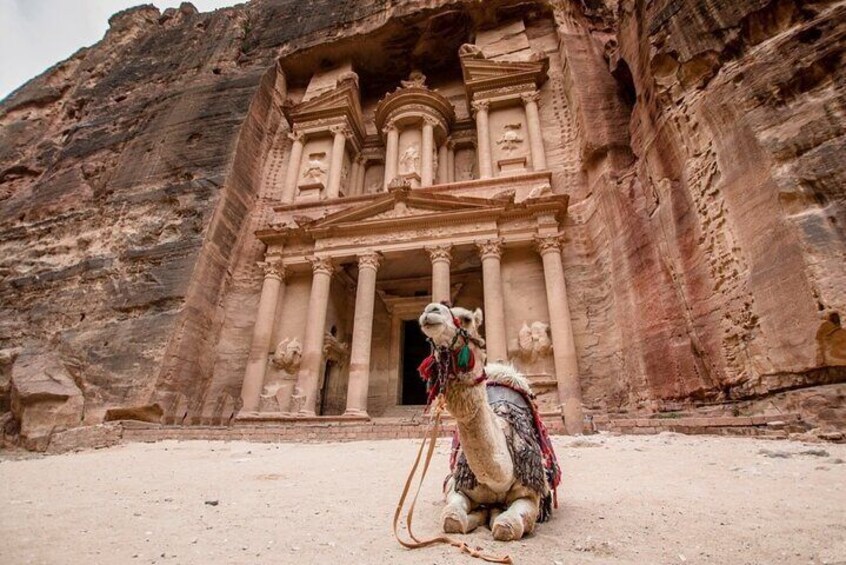 02 Days Petra , Wadi Rum and Dead Sea from Amman