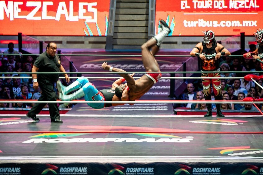 Mexican Night Out: Small Group Lucha Libre & Mariachi Music Tour