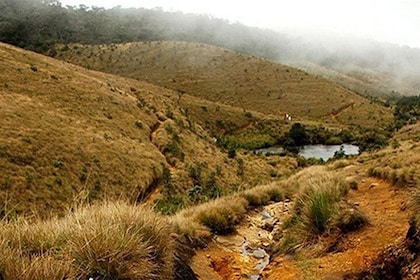 Horton Plains-World's End Tour From Nuwaraeliya