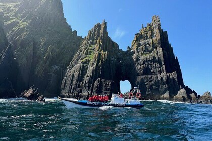 Dingle Boat Tours Wildlife RIB Adventure