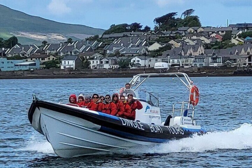 Spraoi, departing Dingle town.