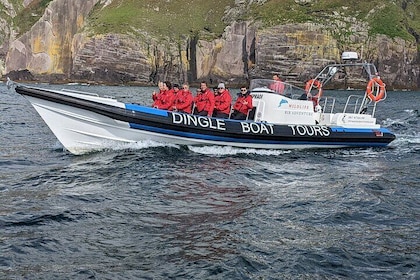 Dingle Boat Tours Wildlife RIB Adventure