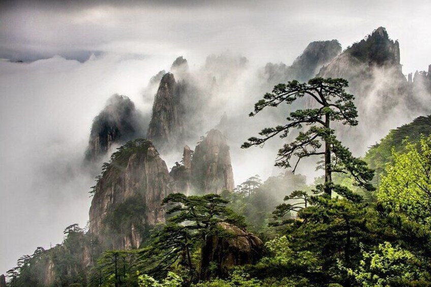 Best Adventure of Mt. Huangshan/Yellow Mountain with Local Guide