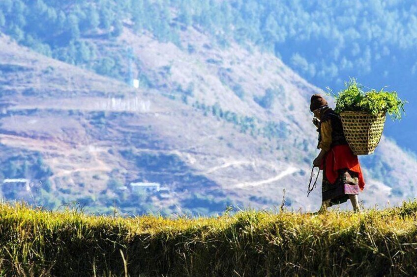 Cultural Exploration in Bhutan