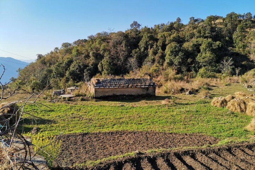 A deserted House 