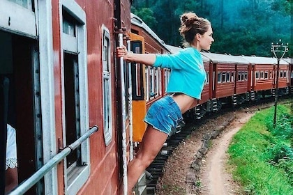 Nuwara Eliya journey by Train and car (2 Days with 01 Night)
