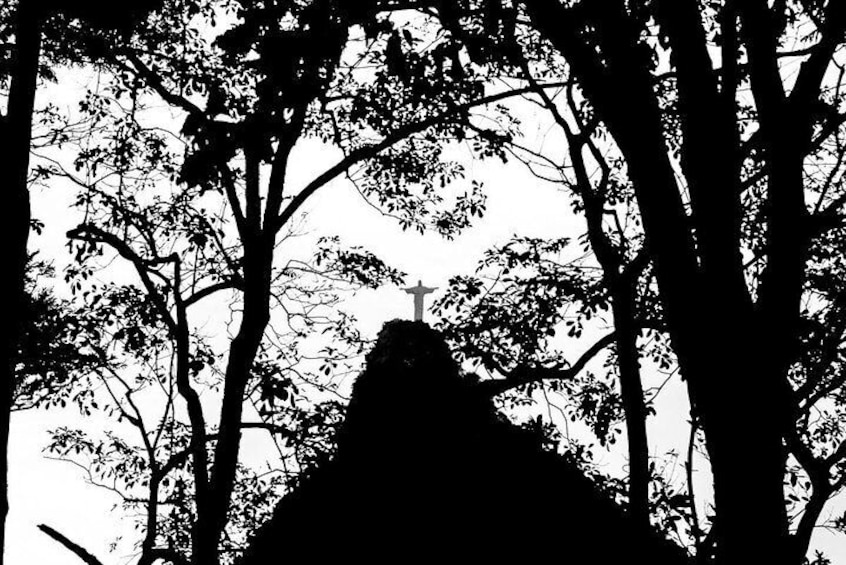 Rio Photo Tours - Half Day Customised Private Tour (4 hours)