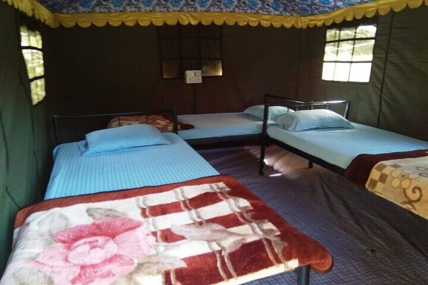 Camping in Rishikesh