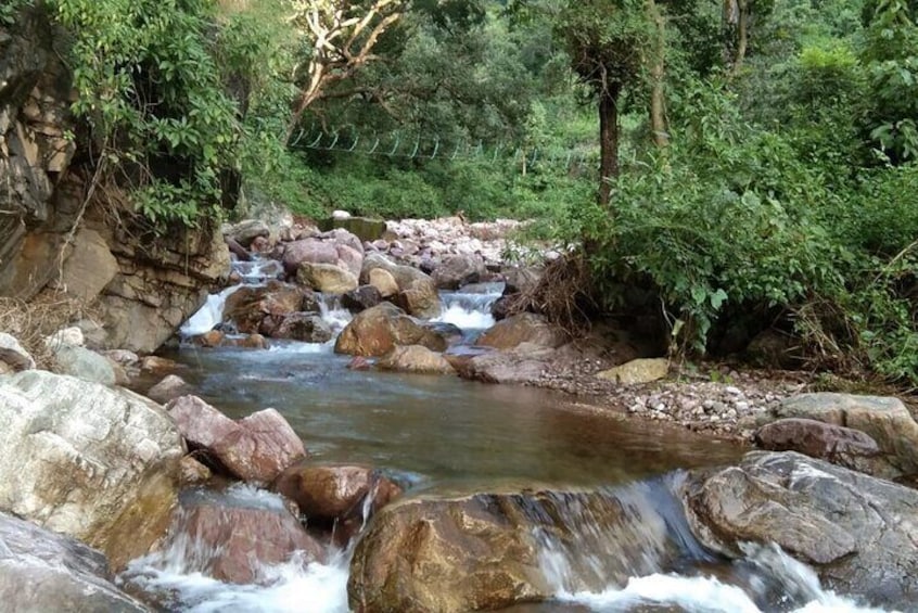 Camping in Rishikesh