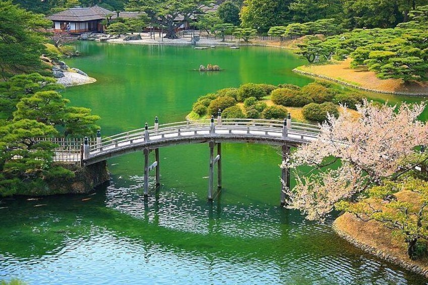 Takamatsu Full-Day Private Tour with Nationally-Licensed Guide