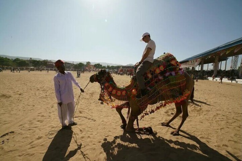 Camel Safari Pushkar