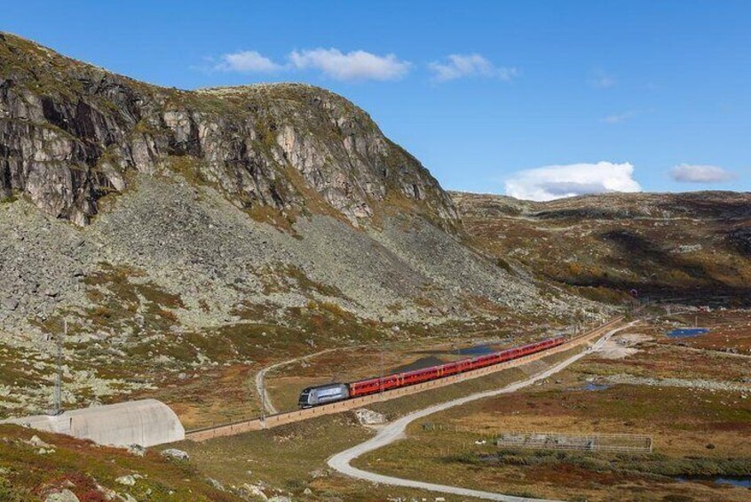 Self-Guided Full Day Trip From Bergen to Oslo with Flam Railway and Sognefjord