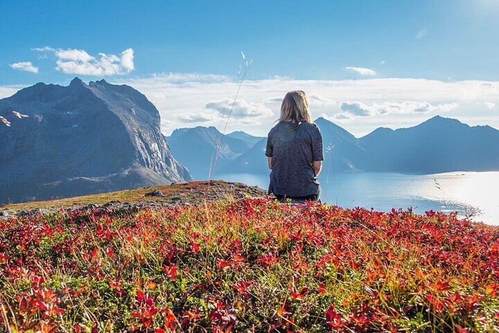 Fjord Expedition: Arctic Adventure Awaits