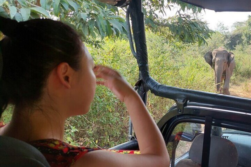 All Inclusive Udawalawe National Park Safari Day Tour from Colombo and Negombo