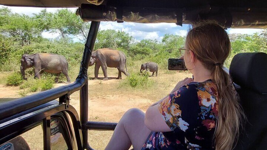 All Inclusive Udawalawe National Park Safari Day Tour from Colombo and Negombo