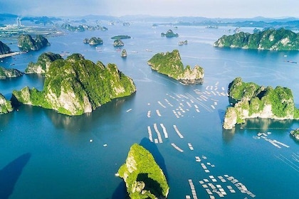 Halong 6 hours boat tour from Hanoi All Inclusive