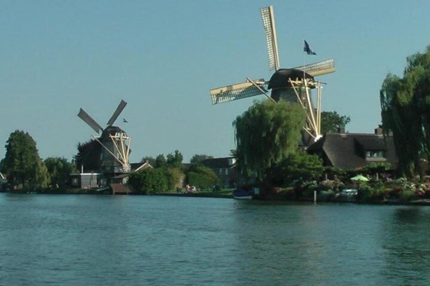 windmills