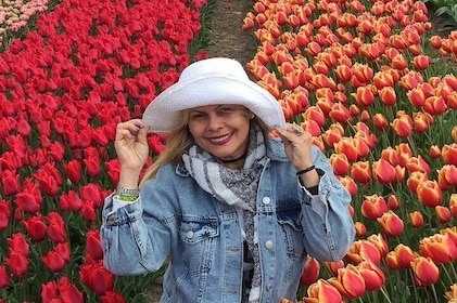 Keukenhof Private Tour from Rotterdam incl photshoot in the flowerfields ar...