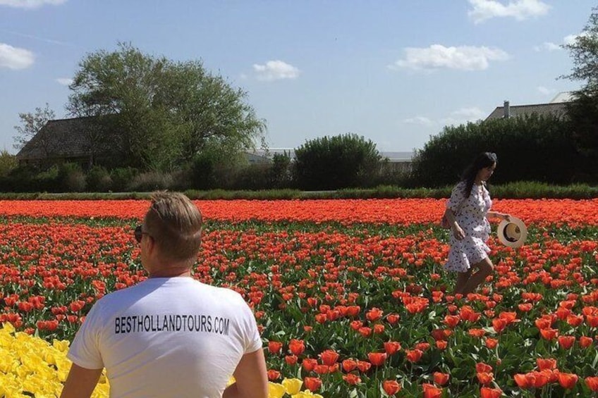 Keukenhof Private Tour from Rotterdam incl photshoot in the flowerfields around