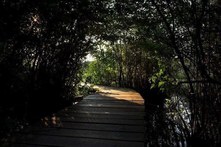 Colombo Wetland 