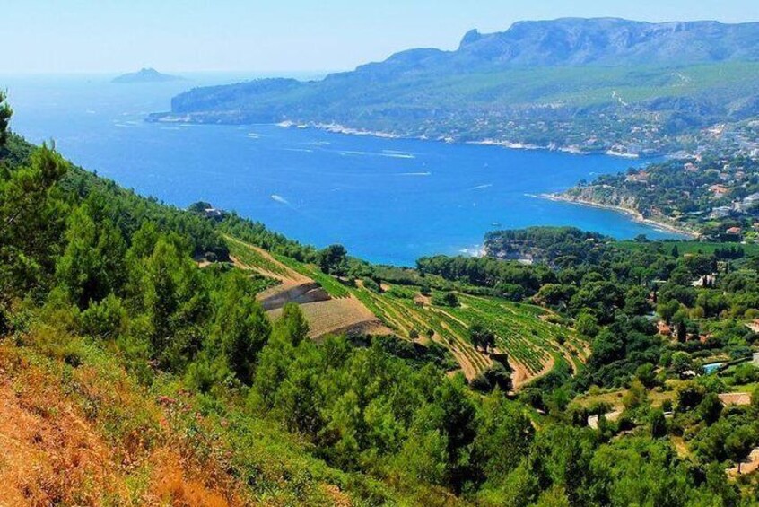 Calanques of Cassis, Aix-en-Provence & Wine Tasting Private Tour