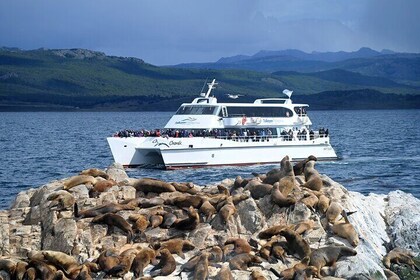 Navigation in the Beagle Channel with minitrekking USHUAIA