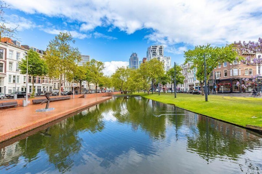 Discover Rotterdam in 90 Minutes with a Local
