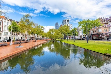 地元の人と一緒に90分でロッテルダムを探索
