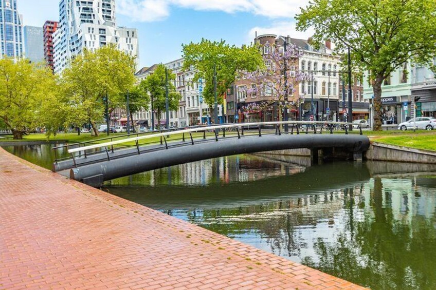 Discover Rotterdam in 90 Minutes with a Local