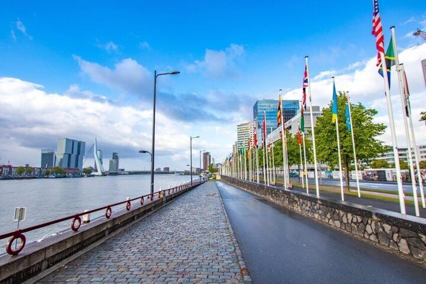 Best Intro Tour of Rotterdam with a Local