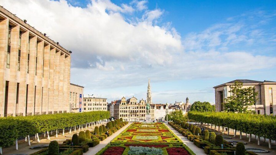 Art and Culture in Brussels with a Local