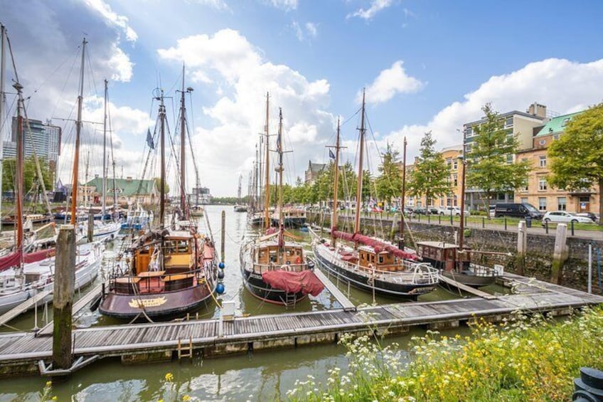 Photogenic Rotterdam with a Local