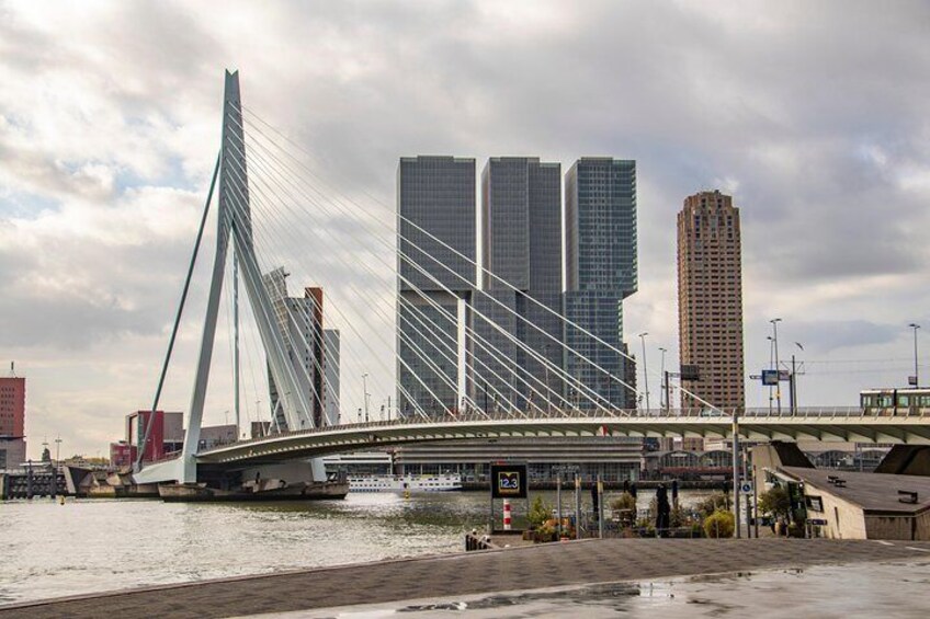 Photogenic Rotterdam with a Local