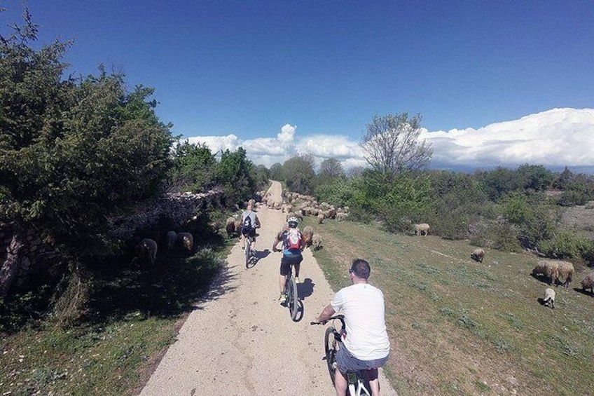 Krka Nationa park by bike