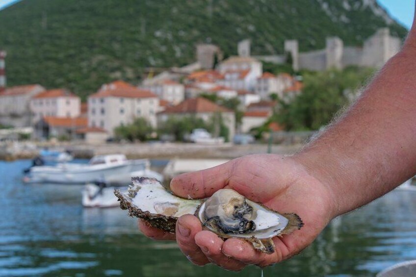 Private Full Day Tour from Dubrovnik: Ston with Wine Tastings