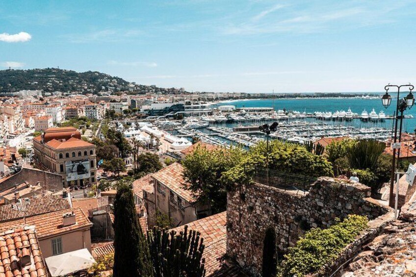 Art and Culture in Cannes with a Local