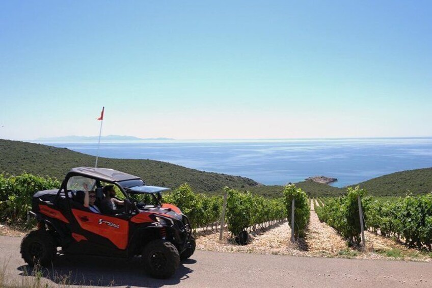 Visiting Ecotourism Zure Vineyards 