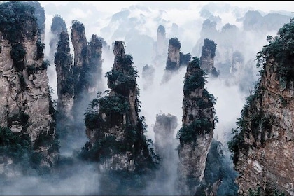 3 Days Private Zhangjiajie Avatar Adventure from Shanghai