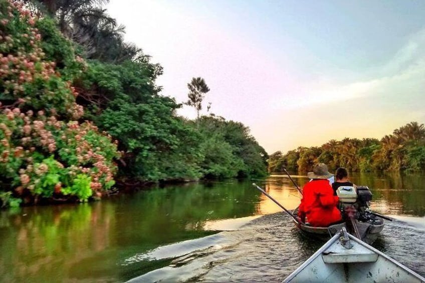 Maica Lake Selvagem Tours