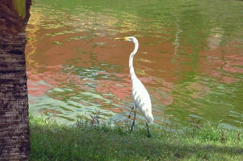 Maica Lake Selvagem Tours