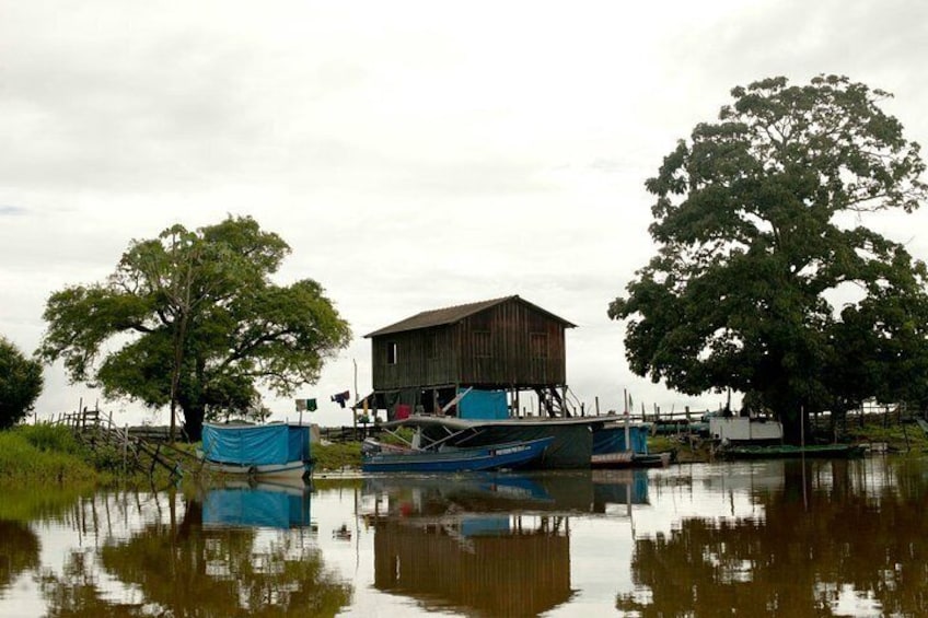 Maica Lake Selvagem Tours