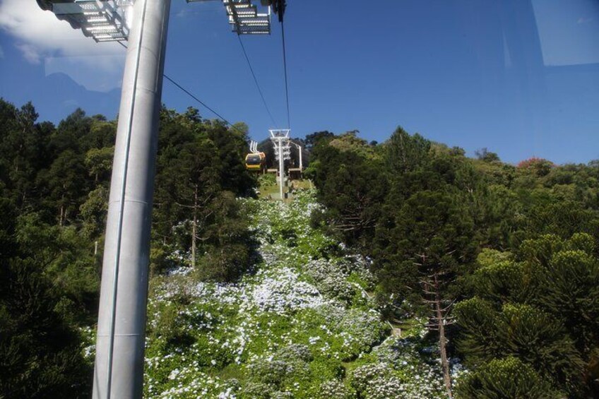 Official Ticket for Aerial Cable Car Parks Serra - Canela / RS